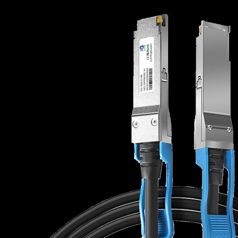 

Inspur Fiber Optic Module with Cable