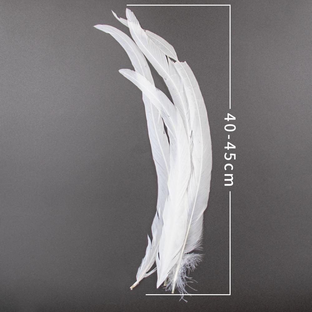 10Pcs/Lot Natural White Pheasant Feathers Wedding Home Party Decoration Length Rooster Plumes Diy Creative Carnival Crafts10-18"