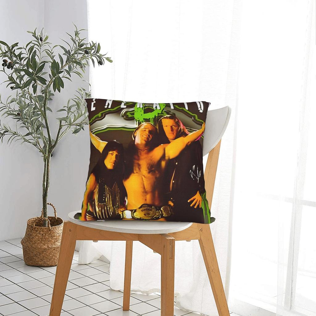 D-Generation X Wrestling Pillow Case Comfy Pillow Cover For Living Room Chair Novelty Pillowcases