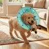 Anti Licking Dog Recovery Collar Comfortable Anti Bite Collar Pet Cone Collar  Neck Recovery