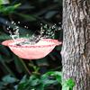 Outdoor Bird Bath Feeder Tray Durable Construction Easy To Clean Simple Installation Detachable Hummingbird Birdbath Bowl