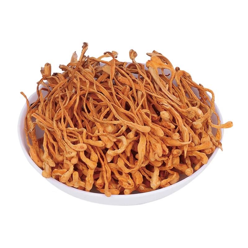Cordyceps Militaris Gift Pack