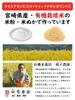 Rice Flour Cookies Gluten Free Brown Rice Sweets Additive Free Rice Bran Biscotti 40g Carob Hyuganatsu Apple Cinnamon Pumpkin Azuki Mango