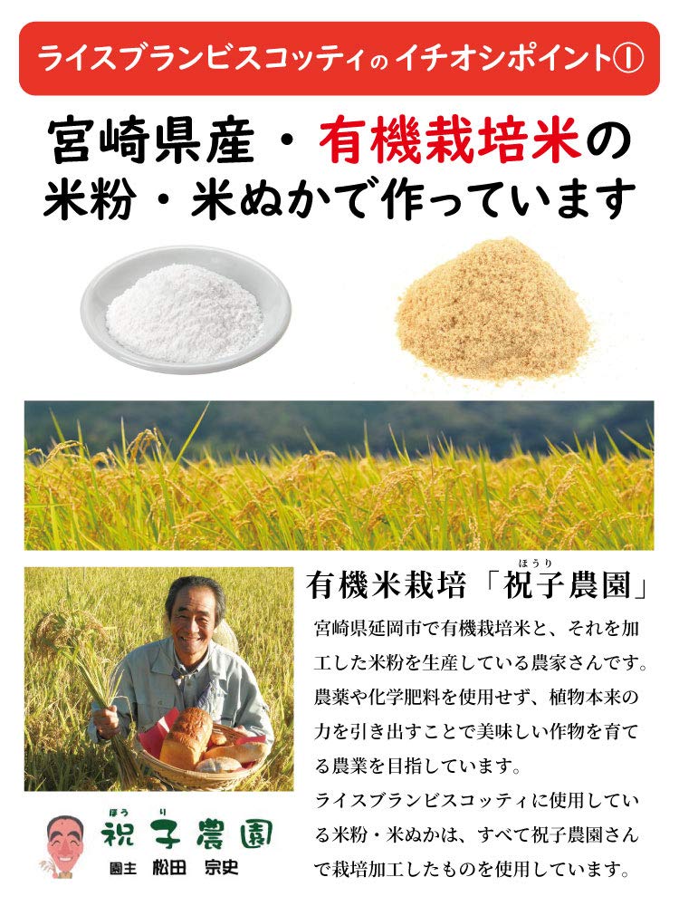 Rice Flour Cookies Gluten Free Brown Rice Sweets Additive Free Rice Bran Biscotti 40g Carob Hyuganatsu Apple Cinnamon Pumpkin Azuki Mango