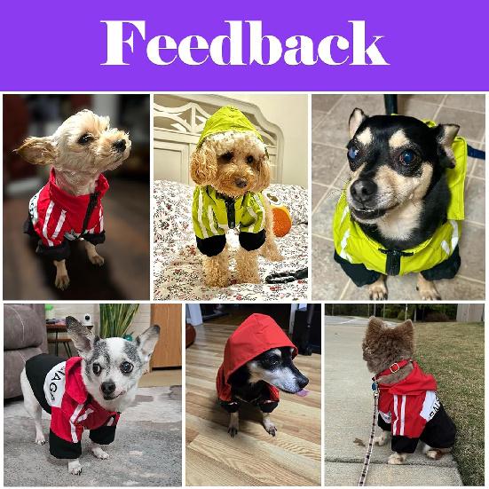 Small Rain Jacket Dog Clothes Coat with Hood Suitable 5 to 7lbs - Small Dog Sweatshirt Waterproof Windbreak Puppy Raincoat