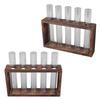 5 Test Tube Plant Terrarium Transparent Observe Growth Status Water Plant Holder with Wooden Stand for Herbs