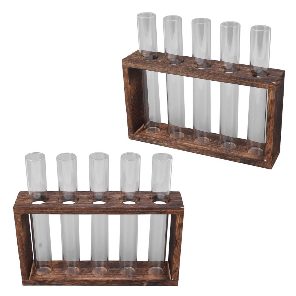 5 Test Tube Plant Terrarium Transparent Observe Growth Status Water Plant Holder with Wooden Stand for Herbs