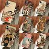 Japanische Geisha, die die Katze neckt, Handyhülle für iPhone 17 Air 16 14 13 12 11 15 Pro Max 12 13 mini 15 16 Plus 16e Hülle Coque