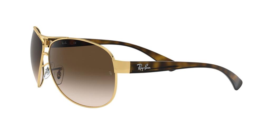 Sunglasses RB3386 67 Ray-Ban 001/13
