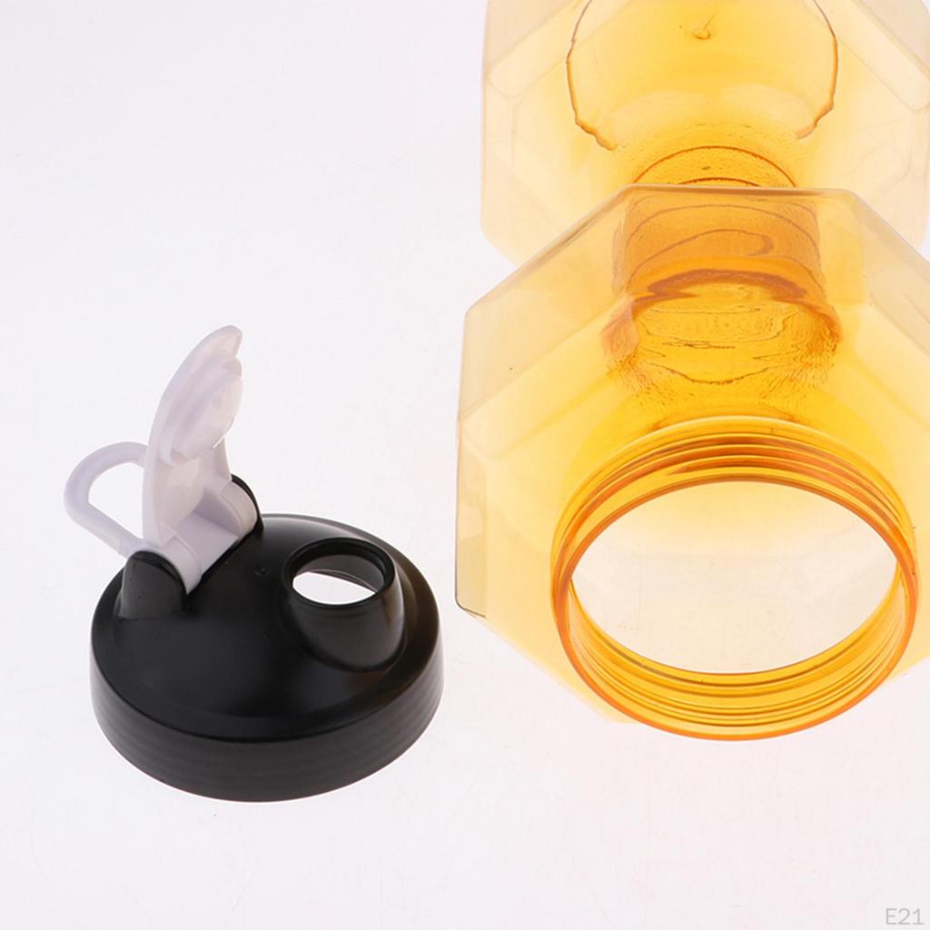 Companion for Fitness Enthusiasts