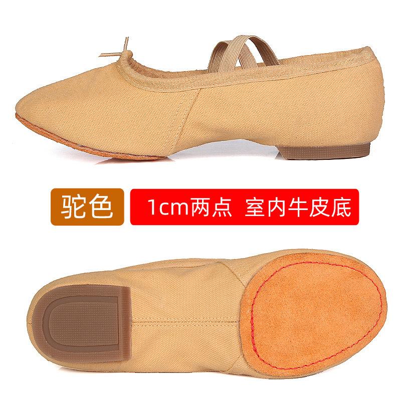 Ballet Dance Shoes Women Teacher Stage Training Sports Shoe Soft Sole Slippers Yoga Belly Practice Shoe Girls Jazz Dancing Shoes