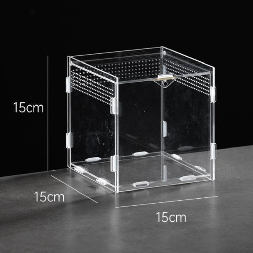 Anti-Escape Reptile Habitat Clear Spider Feeding Case Durable Lizard Breeding Box  for Chameleon