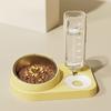 2-in-1 Pet Feeder Tilted Dog Food Bowl with 700ml Automatic Water Dispenser Stainless Steel Bowl Food And Water Feeder for Cats Dogs