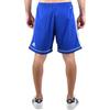 adidas Squadra 17 Shorts 'Bold Blue' Men's S99153