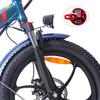 FAFREES F20 Pro Electric Bicycle 250W Motor, 36V 18Ah Battery, 20*3.0 Inch Tire, IP54 Waterproof, 80-100KM Range E-bike