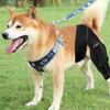 L Dog Knee Brace Hind Leg Knee Brace Enhances Recovery Dog Knee Wrap for Torn ACL Hind Leg Support Cruciate Ligament Injury