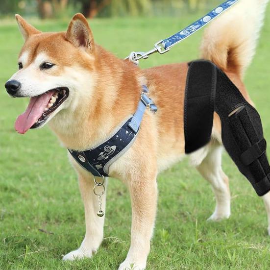 L Dog Knee Brace Hind Leg Knee Brace Enhances Recovery Dog Knee Wrap for Torn ACL Hind Leg Support Cruciate Ligament Injury