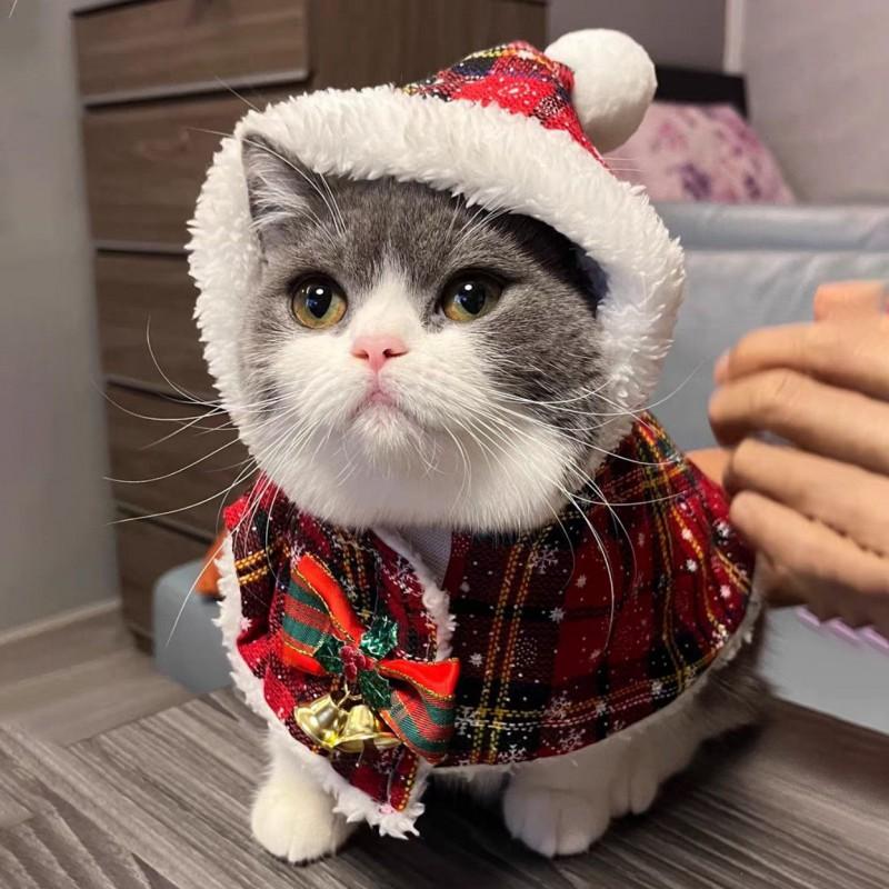Pet New Cape Costume Winter Warm Plush Cloak Cats Dogs Holiday Outfit