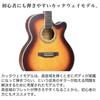Jshigogo Acoustic Guitar Beginner Set Curry Color Practice Guitar Strings Tuner Stand Soft Case Instruction for Students Children Adults