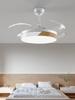 Modern Smart Ceiling Fan Light with Voice Control for Dining and Living Rooms