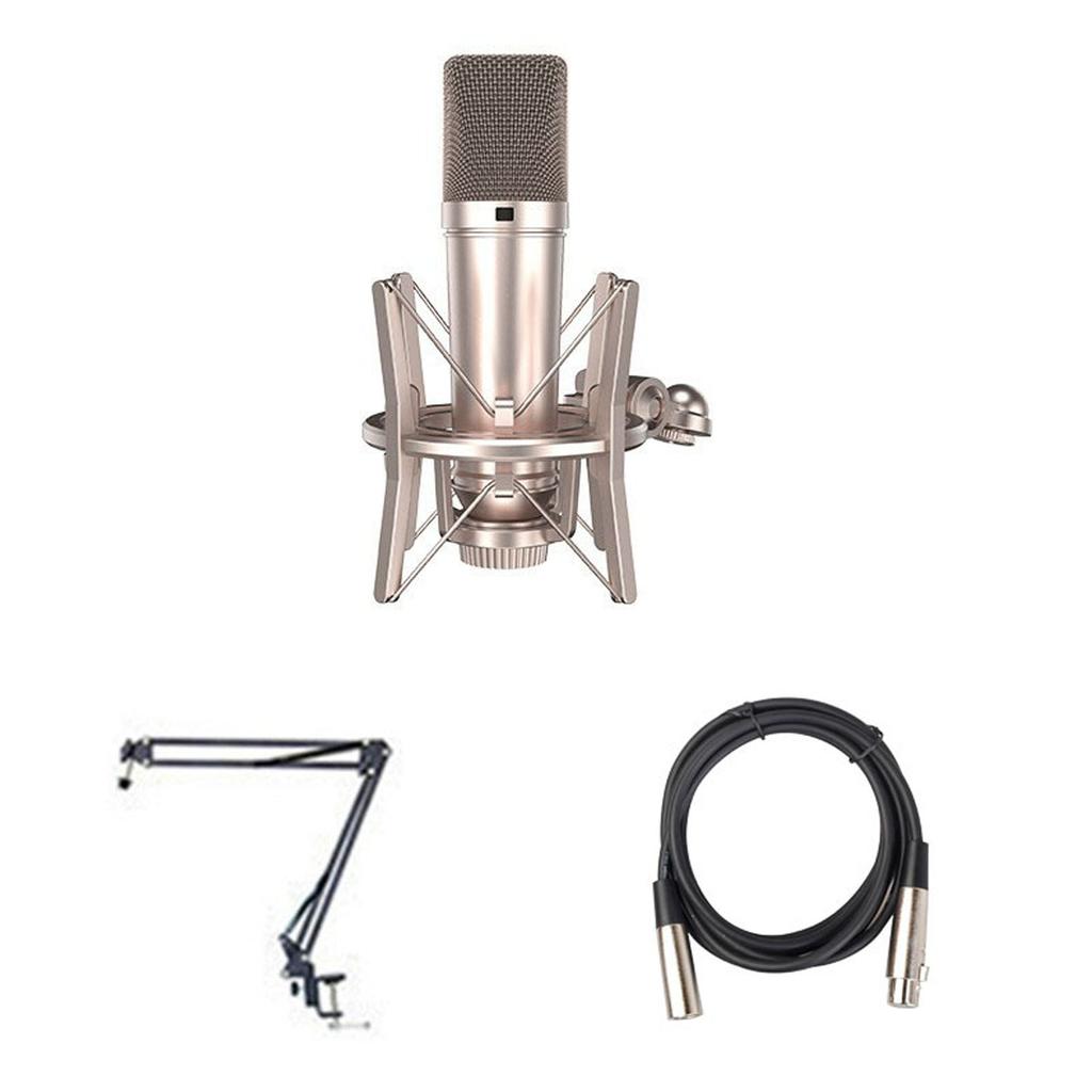 Condenser Microphone 48V Professional Large Diaphragm for Singing Live Streaming