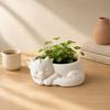 Flowerpot Ornament 3D Printed Sleeping Dragon Shape Matte Large Curved Planter 1 Pc
