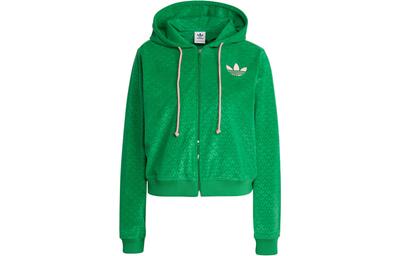 Originals Adicolor Heritage Now Velour Zip Hoodie IB2047