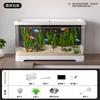 New Desktop Goldfish Tank with Built-in Filter Oxygen System Small Living Room Stream Ecosystem Complete Landscape Aquarium
