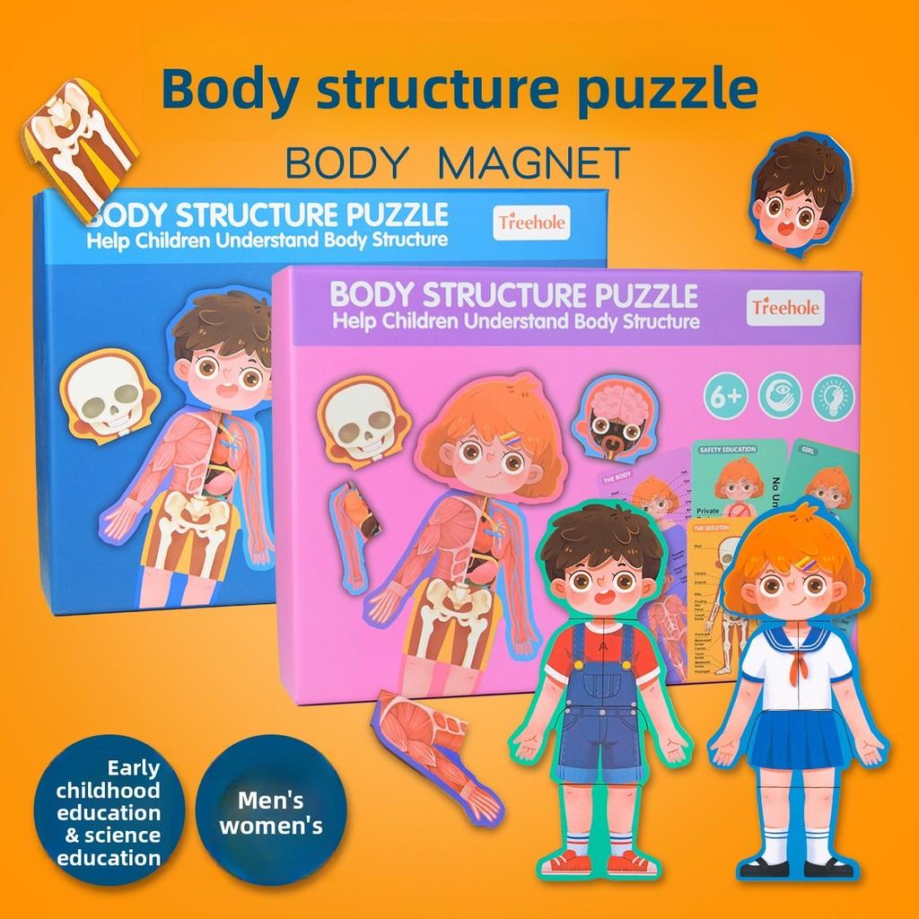 Wooden Body Structure Puzzle For Kids Educational Learning Toy For Boys And Girls