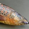 Dulton Fishes Brown Trout 70 Fish Cushion for Everyday Life Large Body Pillow Marine Life Nordic trutta FISHES Total Length 70cm Öring/Brown