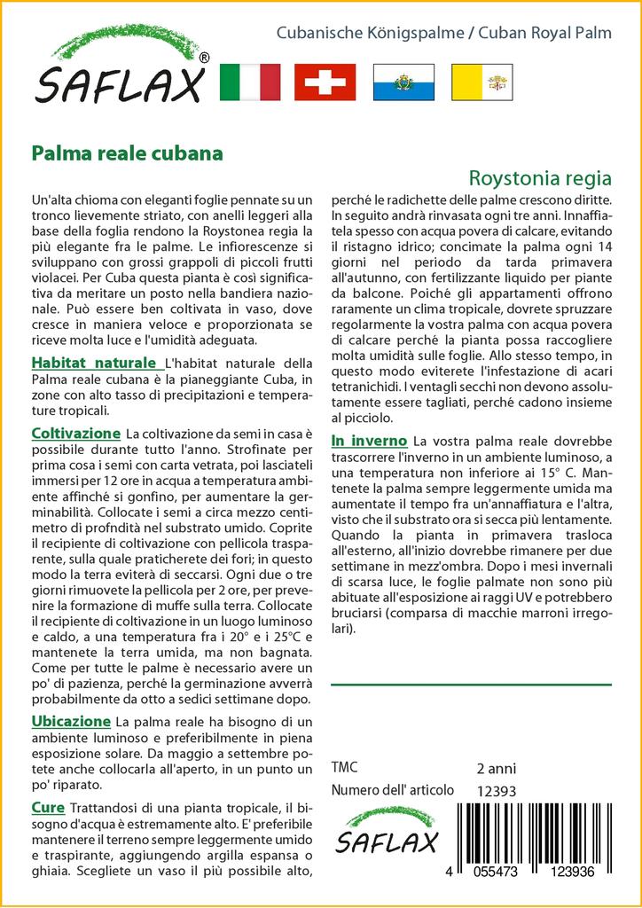 SAFLAX Cuban Royal Palm - 8 Seeds - With Potting Substrate for Better Cultivation - Roystonia Regia