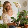 Frog Plant Stand Green Frog Indoor Plant Support Holder Pothos Climbing Fixture Tool for Outdoor Indoor Home Apartment Living