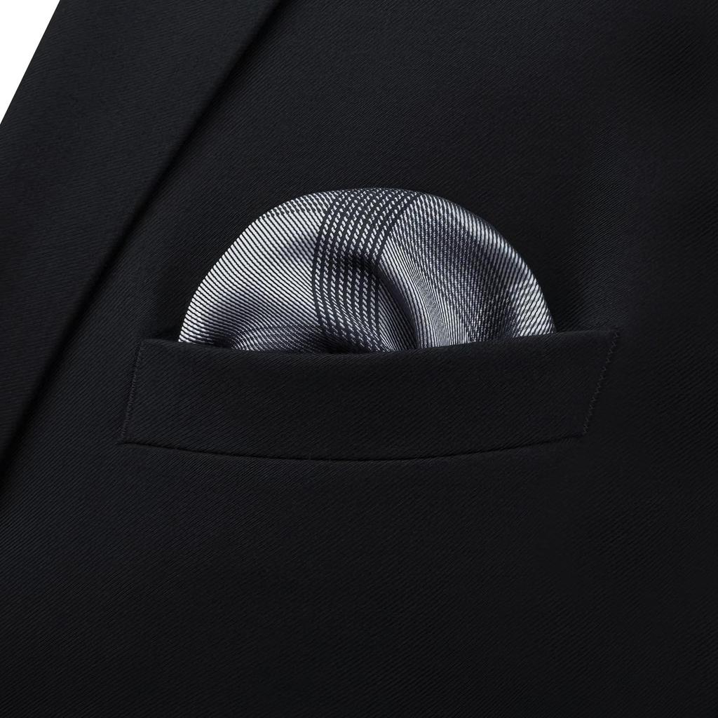 Shlax&Wing Striped Gray Check Men's Silk Tie Formal Business Long