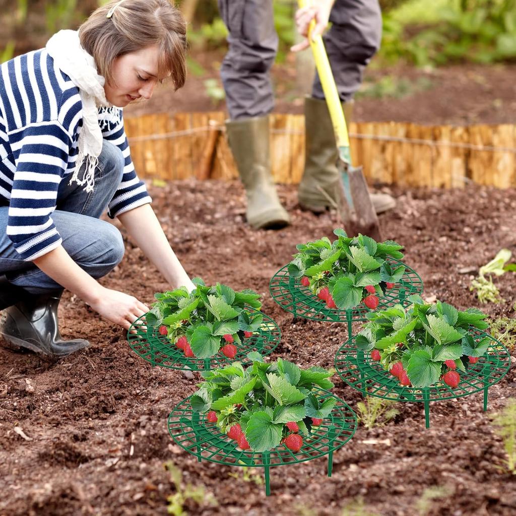 5/10/20 PCS Strawberry Plant Support Strawberry Growing Racks Strawberry Stand Strawberry Growing Frame, Protecting Strawberry from Mold, Rot and Dirt