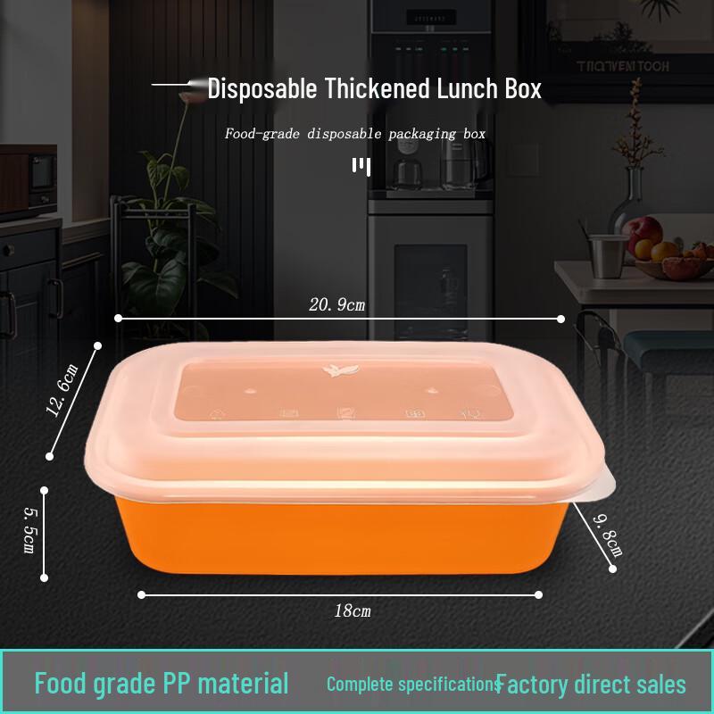 Disposable Japanese Style Rectangular Meal Box