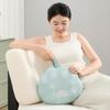 Heated Lumbar & Back Massager Cushion