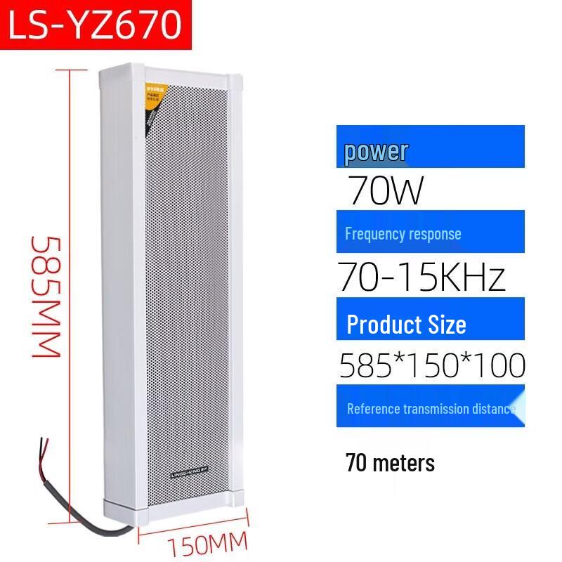 Lingsheng Outdoor PA Speaker & Amplifier Set CN Plug (adapter Included)
