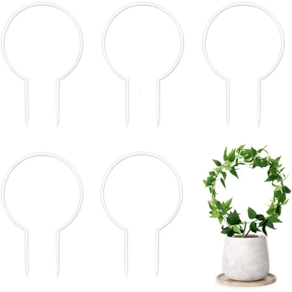 Weather-resistant Acrylic Plant Bracket Round Shape Climbing Plant Support  Outdoor Garden