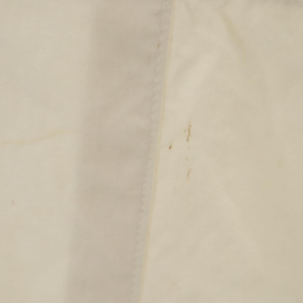 ISSEY MIYAKE 80s Brush Tag Vintage Long Skirt M White Women Used