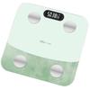 Bear Smart Body Fat Scale R18B1 (CN version)