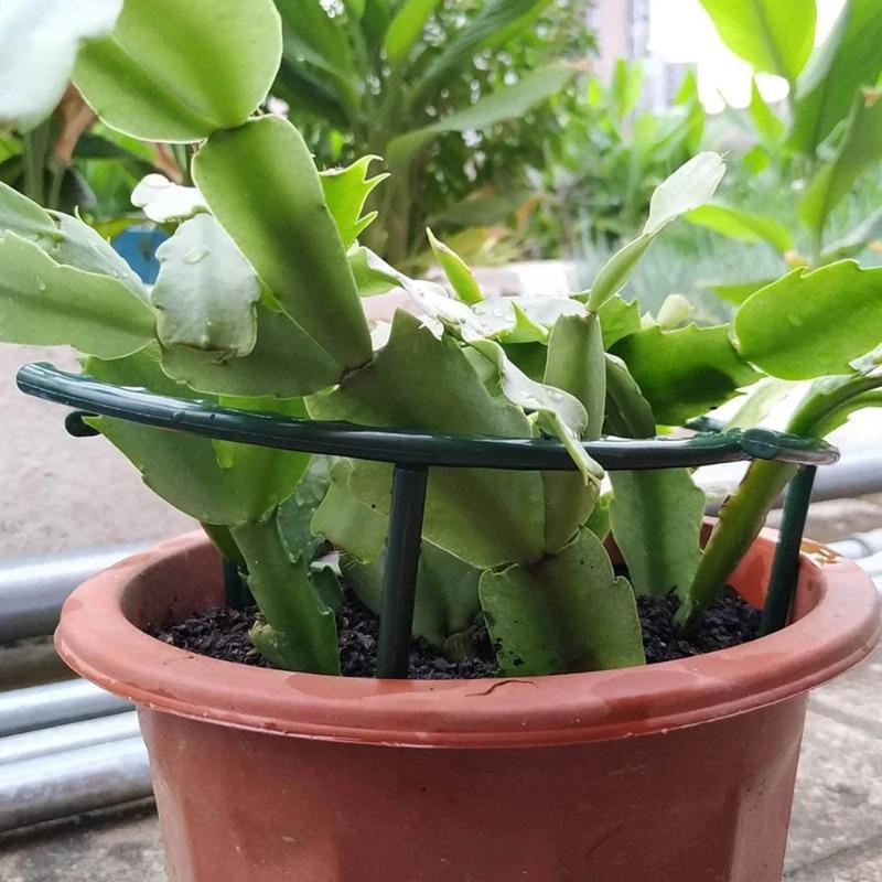 2/4/8PCS Plastic Plant Support Stake Semicircle Greenhouse Fixed Rod Indoor Flower Vine Climbing Bracket Garden Arrangement Holder