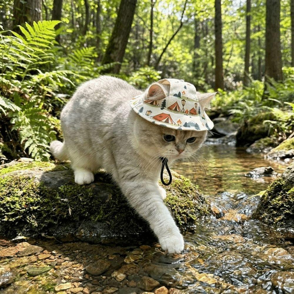 Breathable Pet Sun Hat Adjustable Pet Visor Hat Fashion Dog Sunscreen Hat  Travel