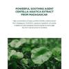 SKIN 1004 - Madagascar Centella Tea-trica BHA Foam