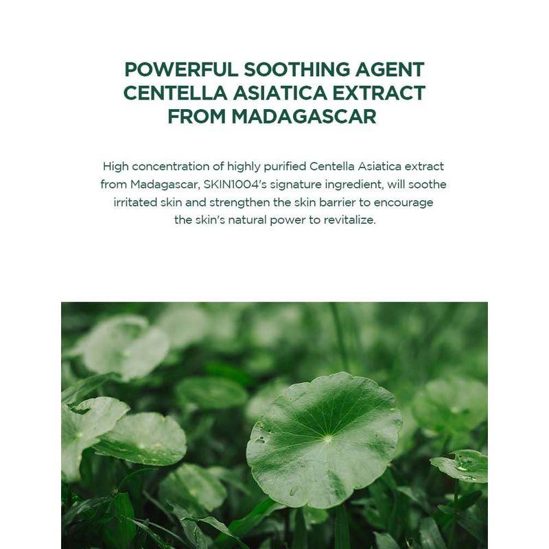 SKIN 1004 - Madagascar Centella Tea-trica BHA Foam