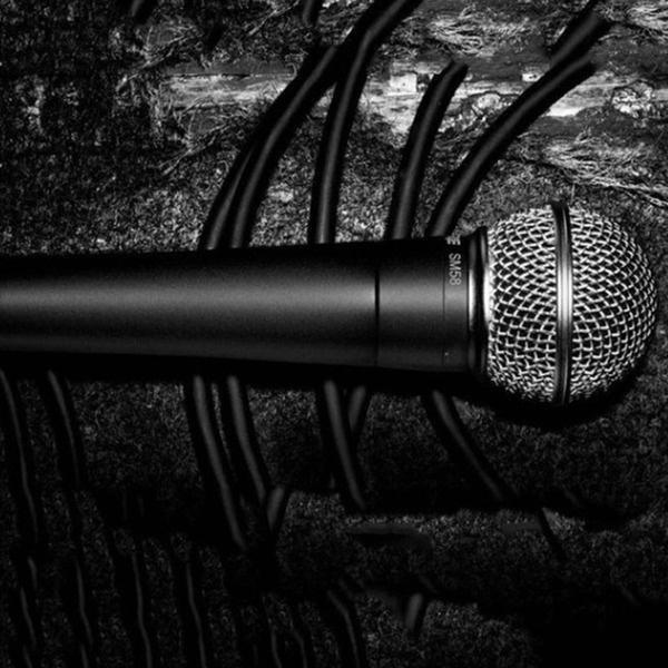 Upgrade LC Dynamic Instrument Microphone Professional Stage Recording Microphone