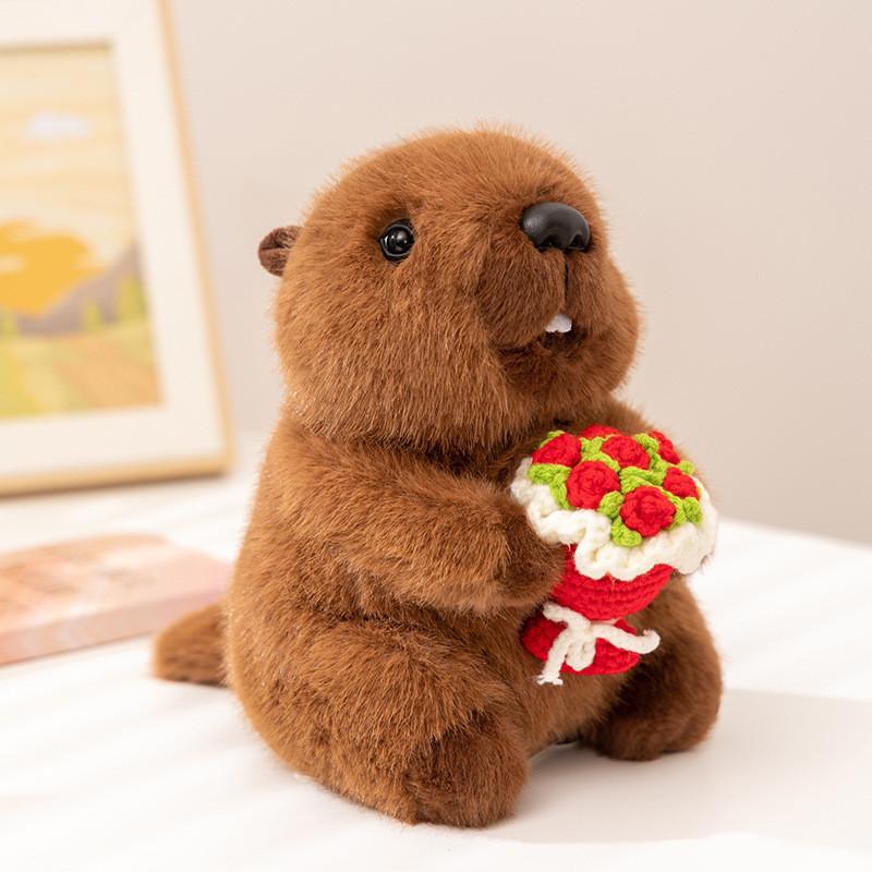 Sehr wertvolles Waschbär und Murmeltier Plüschtier mit umarmendem Blumen-Design für Kinder Geschenk-Sammlung