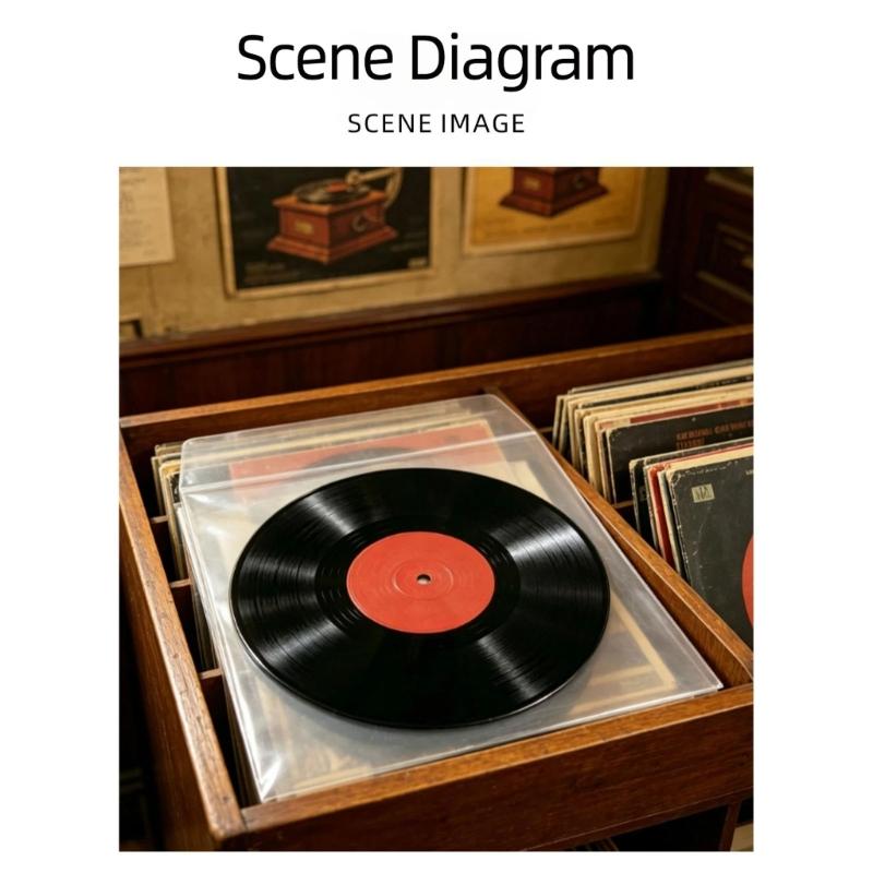 Album Inner Sleeves Set of 10 Clear Record Sleeves for Dust Control, Handling Care, Shelf Filing, Archive Storage and Collection Order