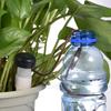 8PCS Self-Watering Drippers, Automatic Deep Root Irrigation Tool for Flower Pots & Bonsai Plants