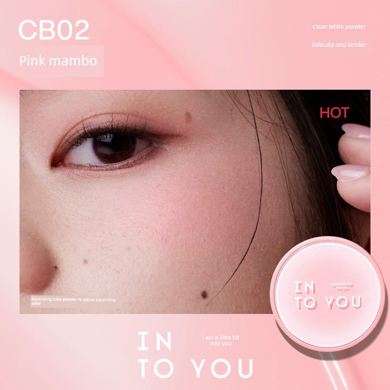 Upgrade 2.0! into You Cushion Blush Cream Water Gloss Sunscreen Blush Palette Hot-Selling Affordable Mud Color 2026 New Model