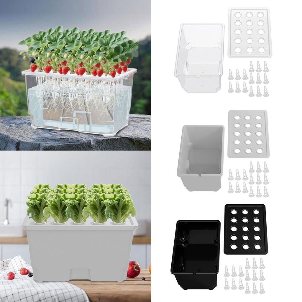 Hydroponic Growing System Kit Planting Container Practical Convenient Portable Hydroponic Grow Kit for Outdoor Vegetables